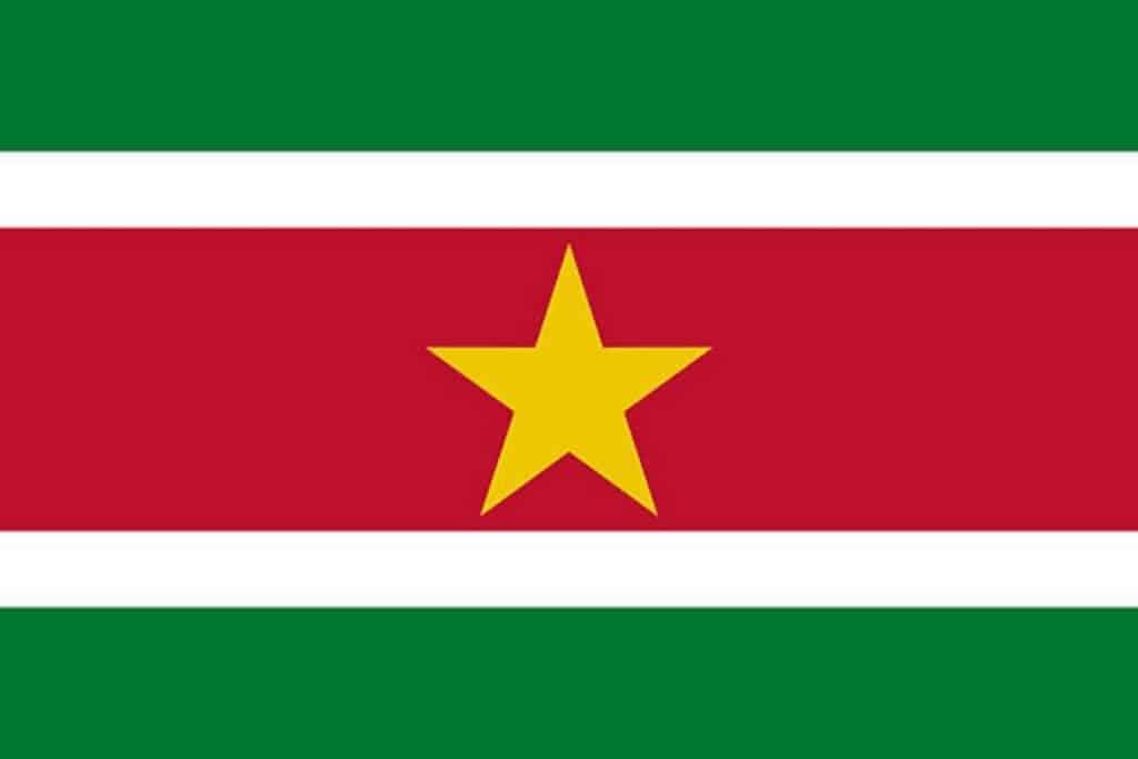 Flag of Suriname in South America