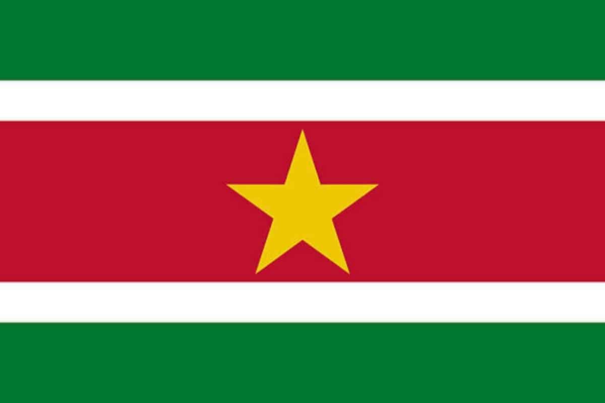 Flag of Suriname in South America