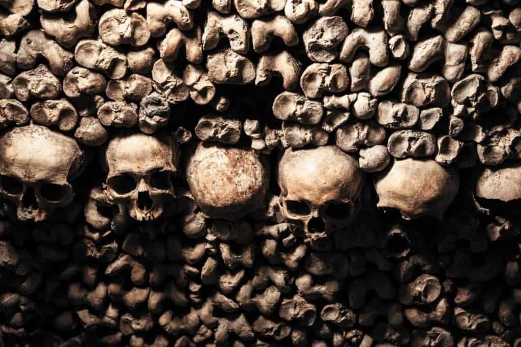 Close up of skulls in the Parisian Catacombs; burial of millions in underground labyrinths in Paris, France