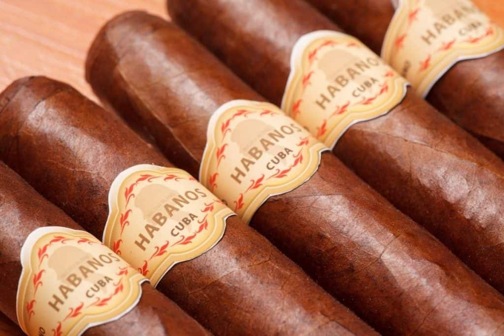 Cuban cigars laying in a row