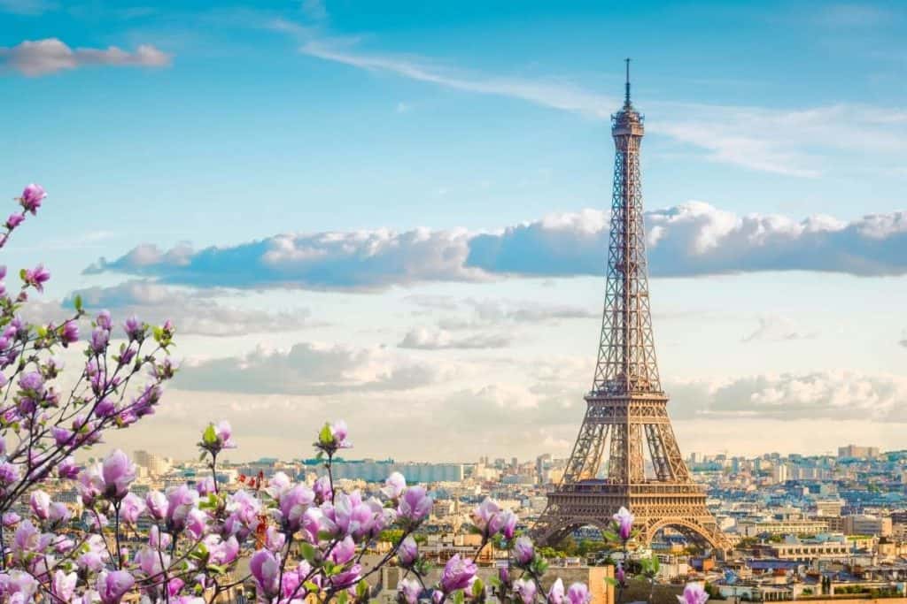 Eiffel tour and Paris cityscape with purple and white flowers in the foreground - Paris, France