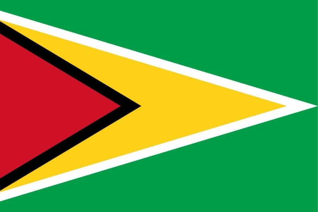 Flags of South America - Flag of Guyana