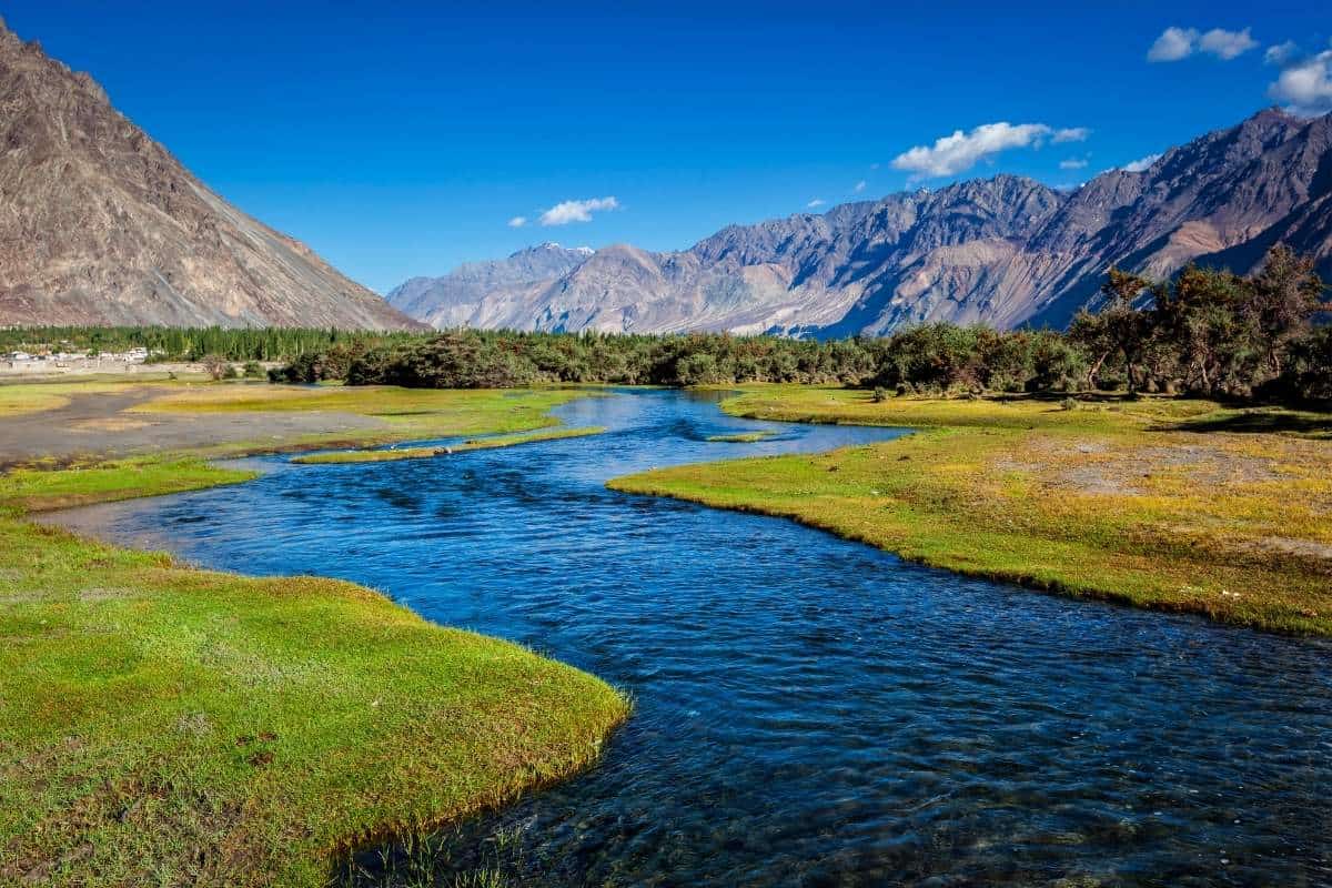Meandering stream with green grass and a mountain backdrop with a clear blue sky in Nubra Valley, India