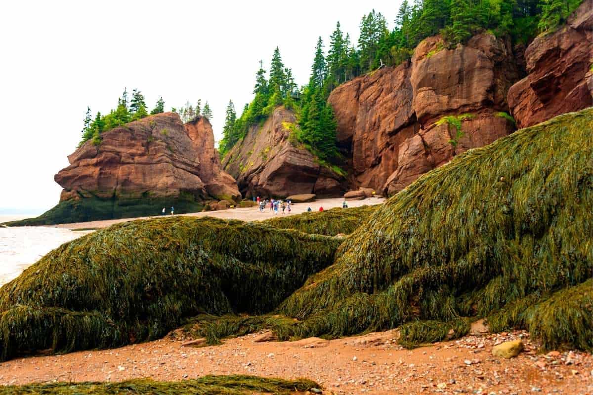 The tide is out in the Bay of Fundy