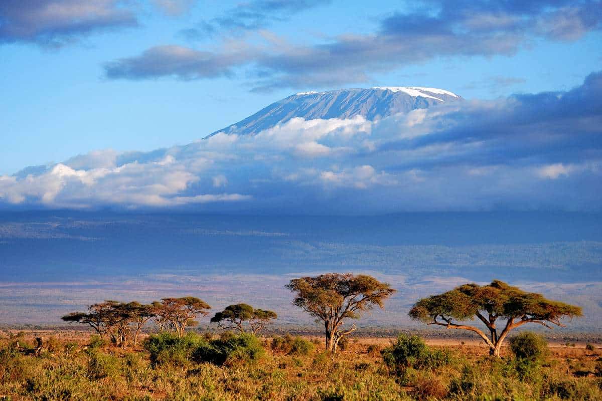 Facts about Africa feature - The African savannah during the day with Mount Kilimanjaro in the background behind some cloud cover