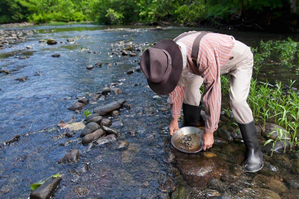 Miner in stream panning for gold