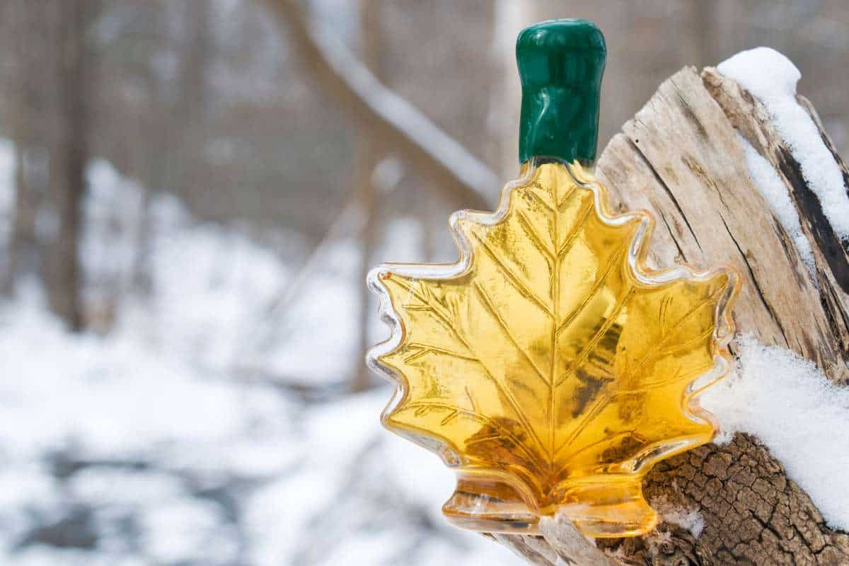 Maple Syrup in Canada