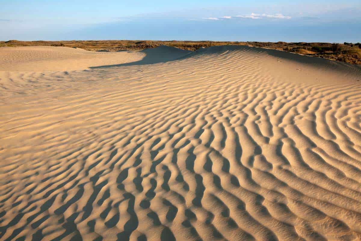 Saskatchewan Sand Dunes